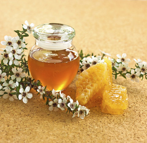 Mật ong manuka chứa chất kháng khuẩn cực mạnh